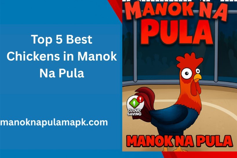 Top 5 Best Chickens in Manok Na Pula